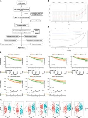 Prognosis stratification and response to treatment in breast cancer based on one-carbon metabolism-related signature